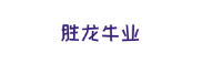 胜龙牛业